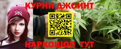 прущие грибы Новозыбков
