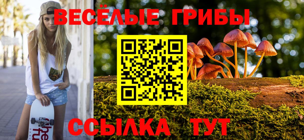 Галлюциногенные грибы GOLDEN TEACHER Тольятти