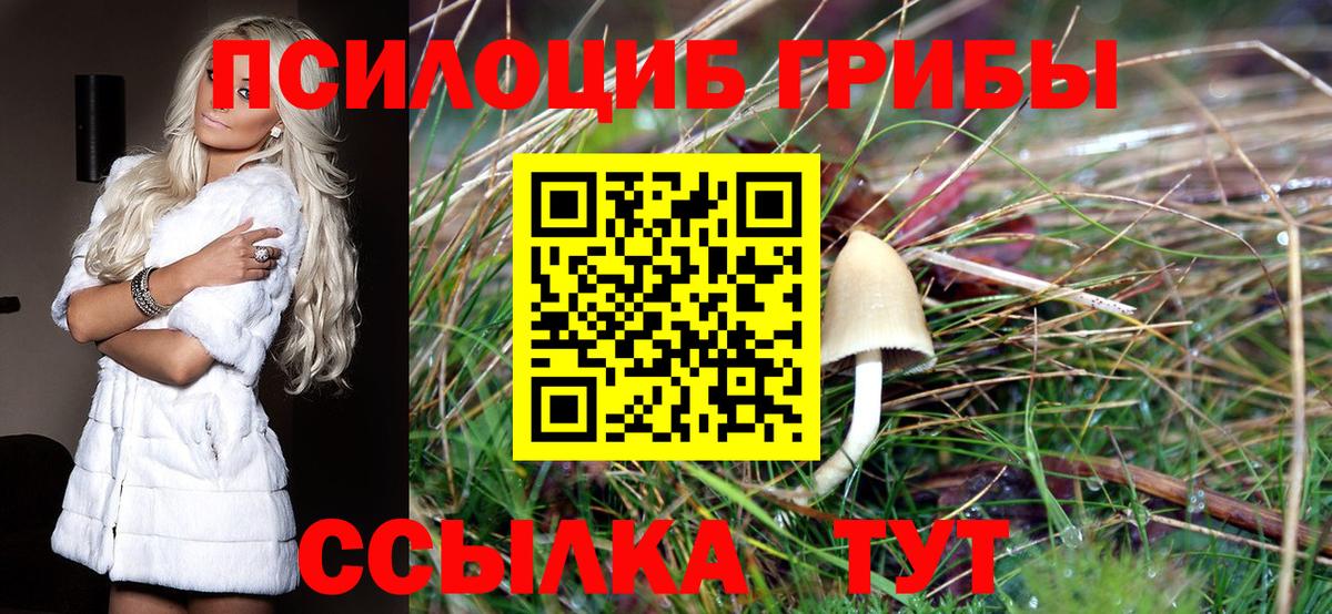 Псилоцибиновые грибы Psilocybine cubensis  Вход с VPN  Псилоцибиновые грибы прущие грибы  Тольятти 